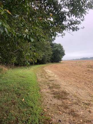 21.42 Acres of Agricultural Land for Sale in Parksley, Virginia