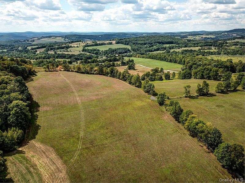 23.6 Acres of Land for Sale in Delaware Town, New York