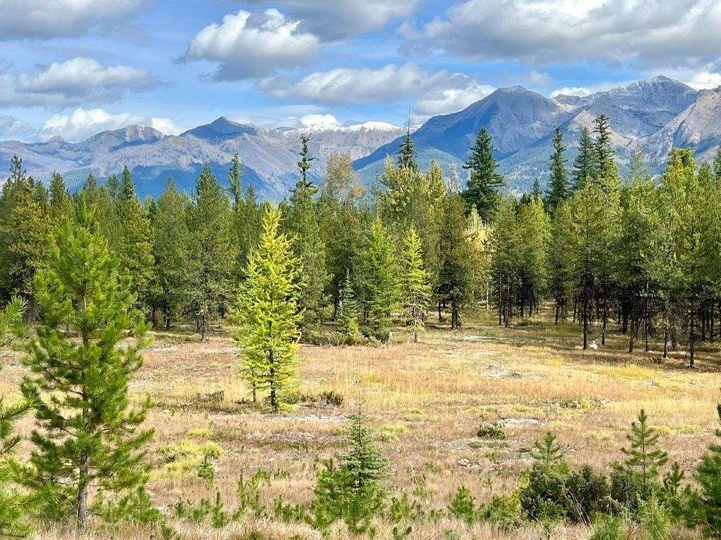 64 Acres of Recreational Land for Sale in Condon, Montana
