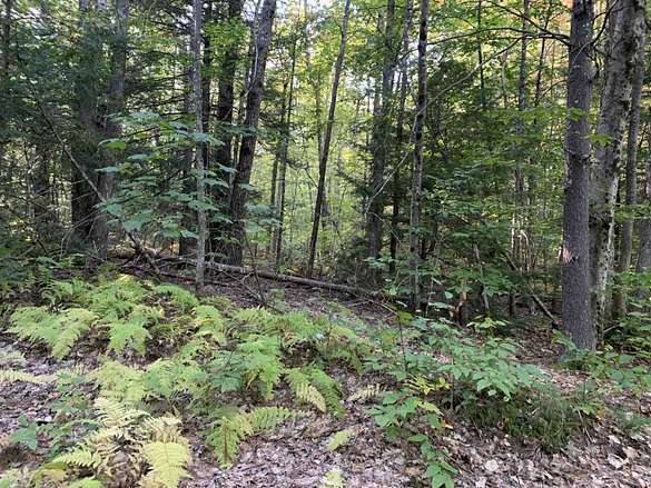 1.2 Acres of Residential Land for Sale in Northwood, New Hampshire