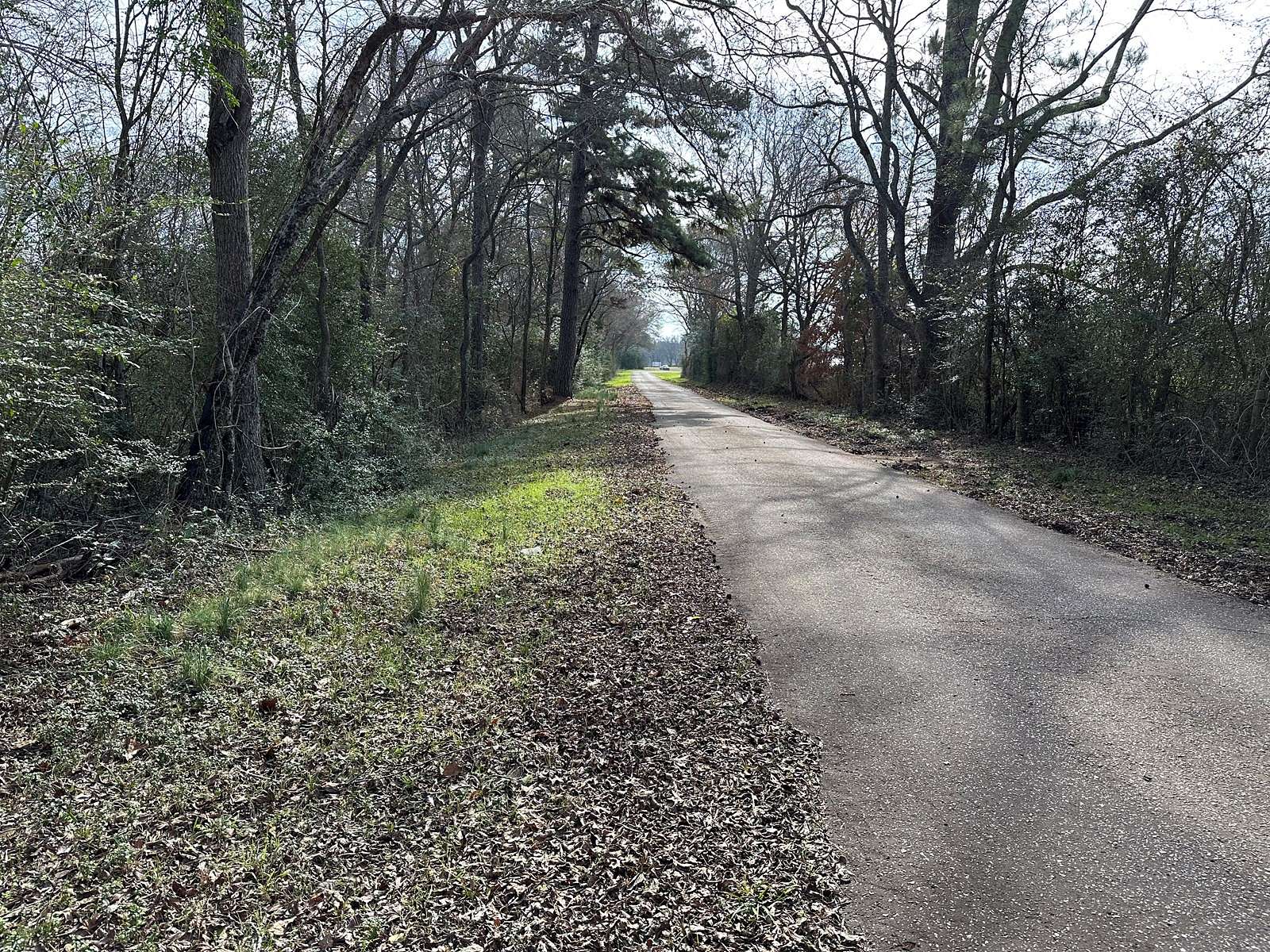 20.1 Acres of Land for Sale in Alto, Texas