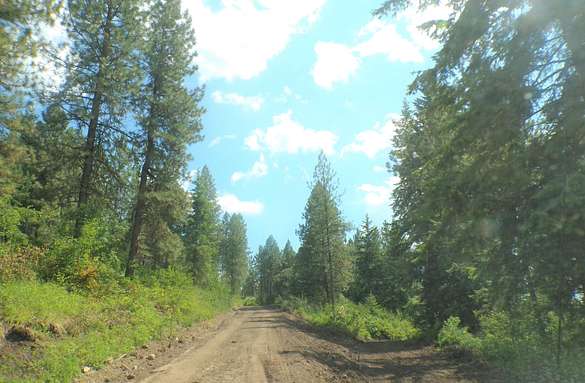 20 Acres of Recreational Land for Sale in Inchelium, Washington
