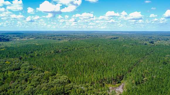 64 Acres of Recreational Land for Sale in Pheba, Mississippi