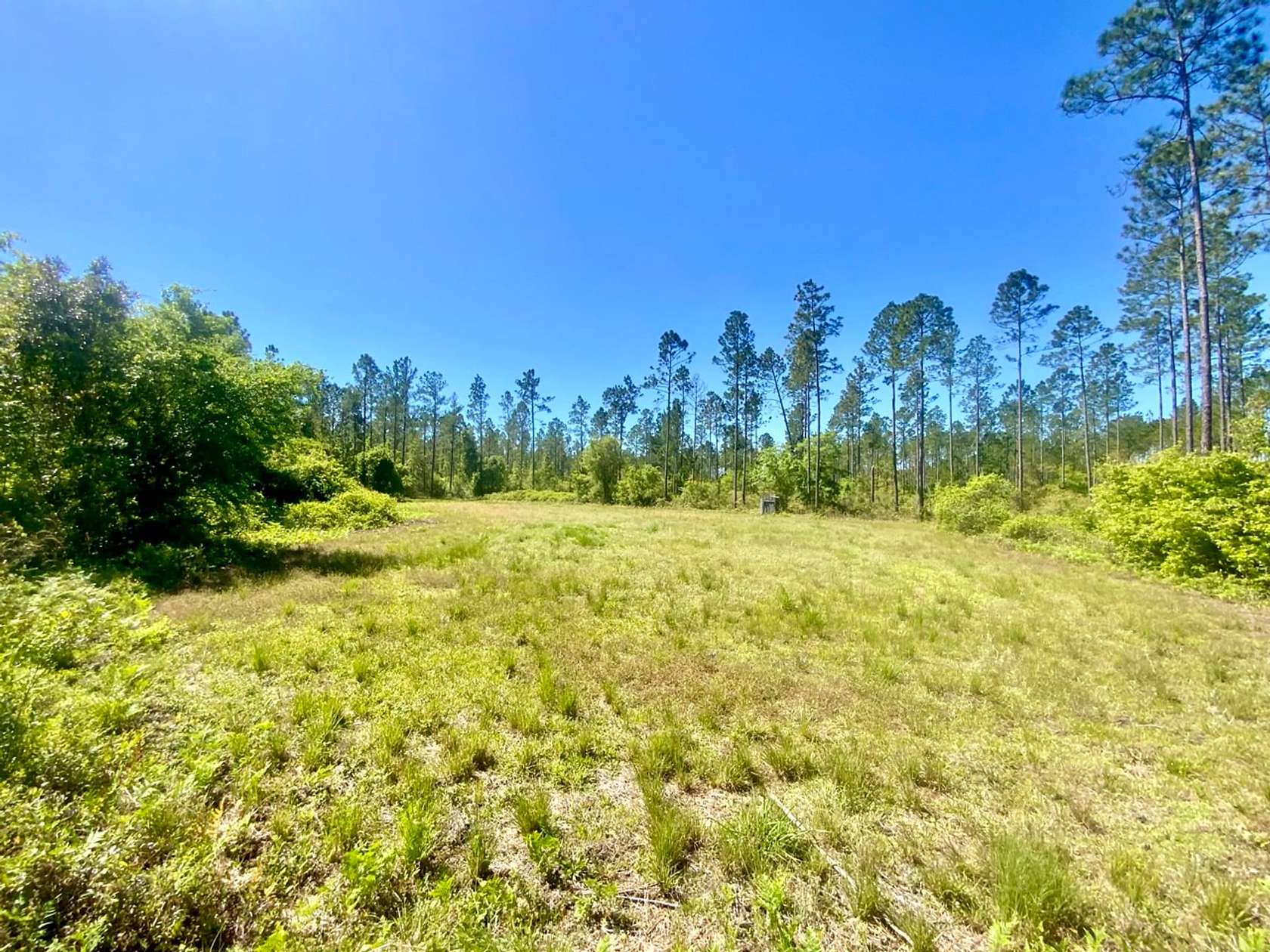 112 Acres of Recreational Land for Sale in Greenville, Florida
