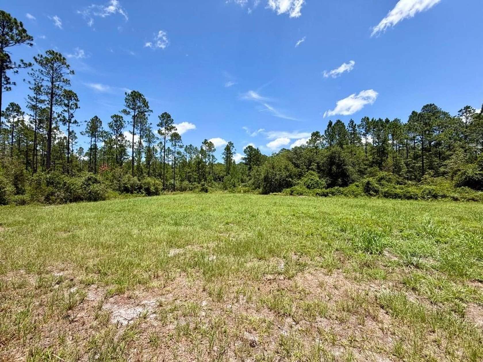 112 Acres of Recreational Land for Sale in Greenville, Florida