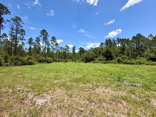 112 Acres of Recreational Land for Sale in Greenville, Florida