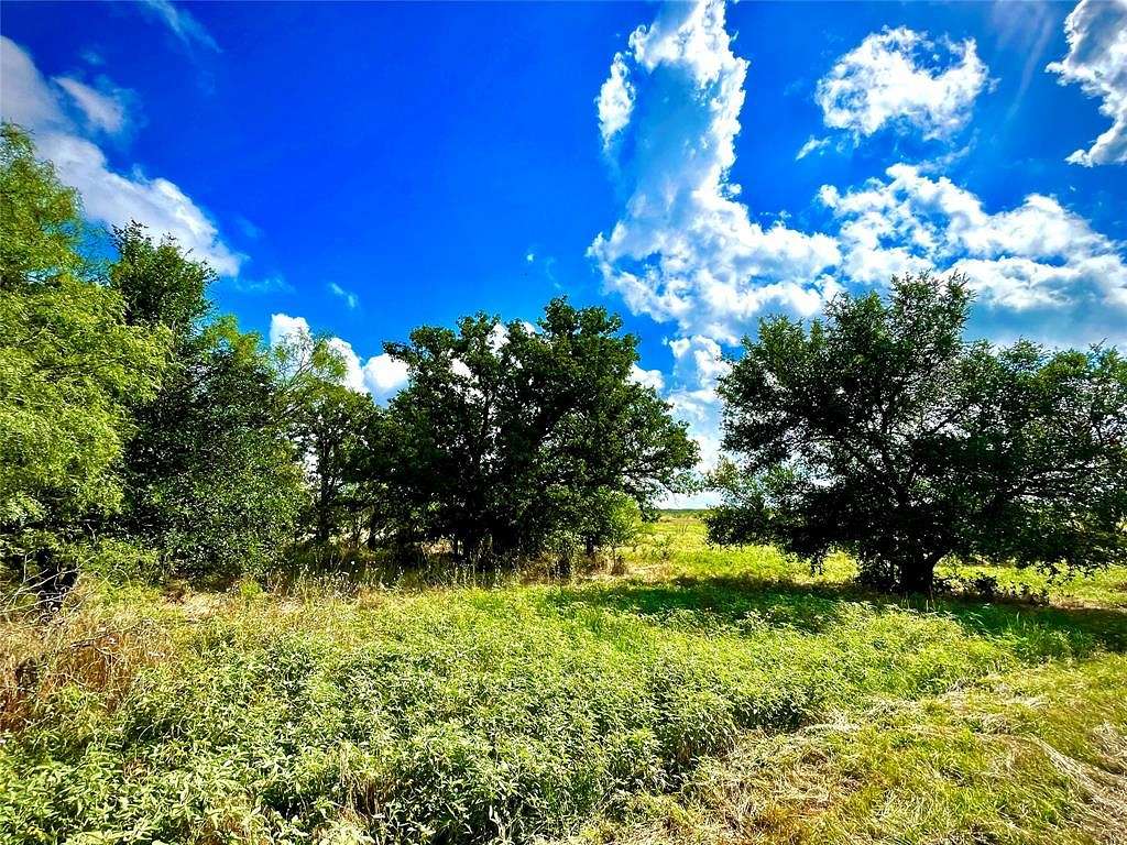21 Acres of Land for Sale in Perrin, Texas