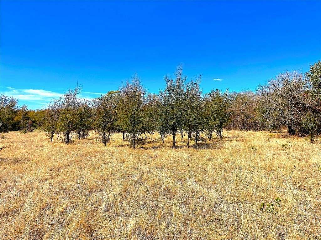 21 Acres of Land for Sale in Perrin, Texas