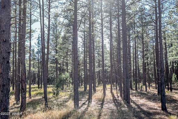 10.7 Acres of Land for Sale in Lakeside, Arizona