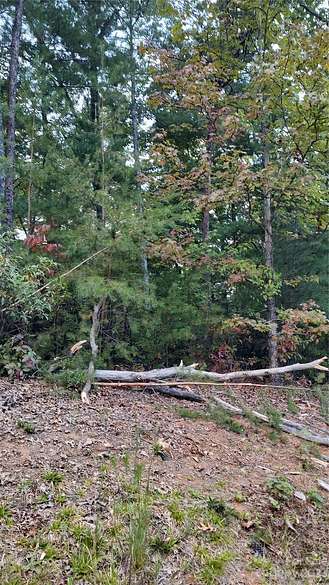 1.2 Acres of Residential Land for Sale in Nebo, North Carolina