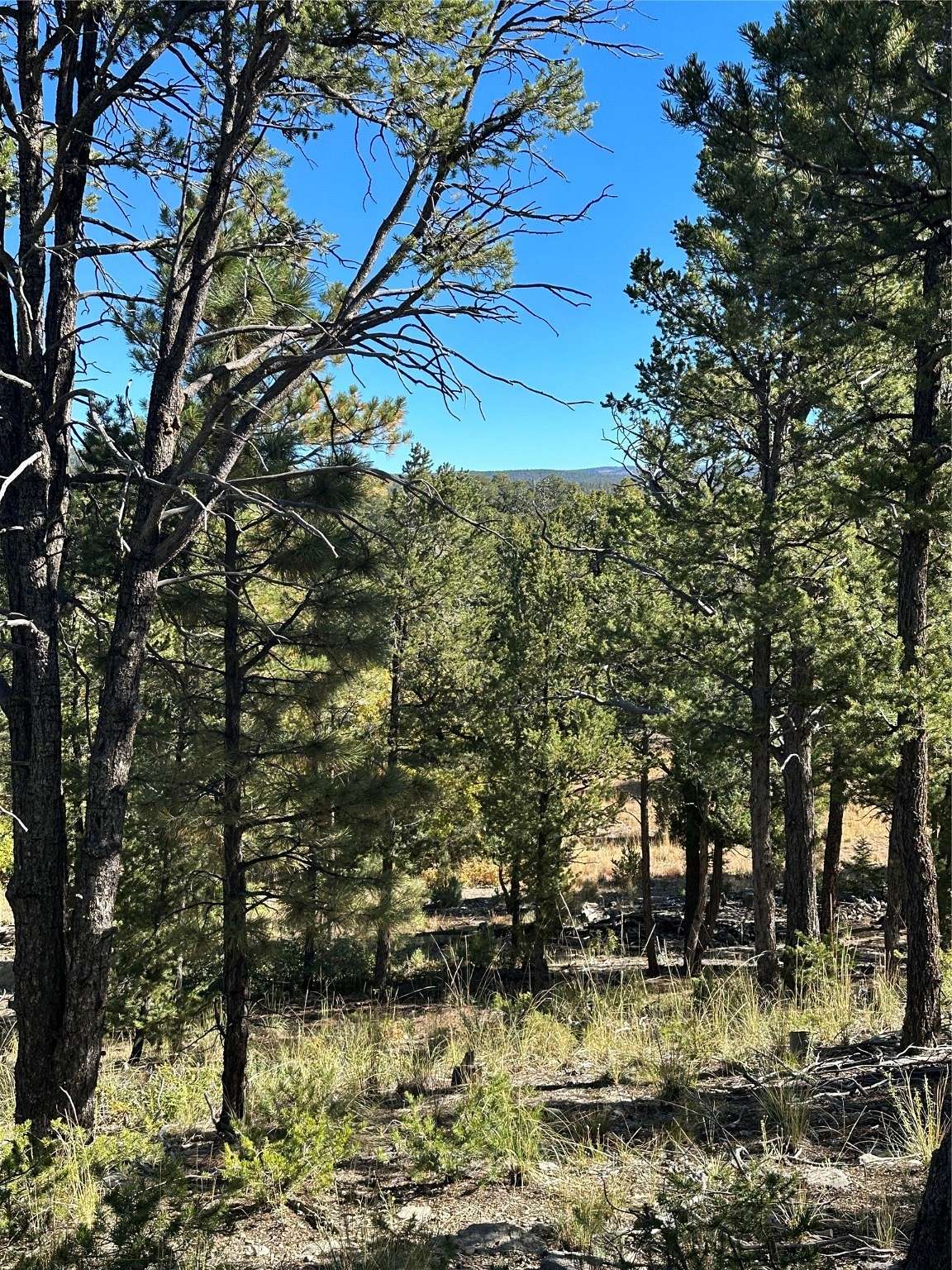 3.1 Acres of Residential Land for Sale in Pecos, New Mexico