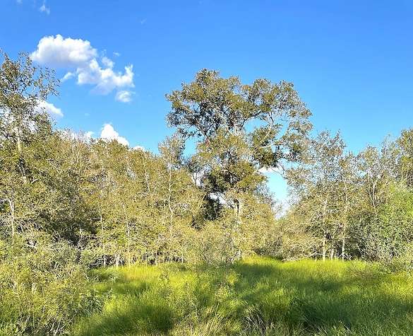 55 Acres of Land for Sale in Gonzales, Texas
