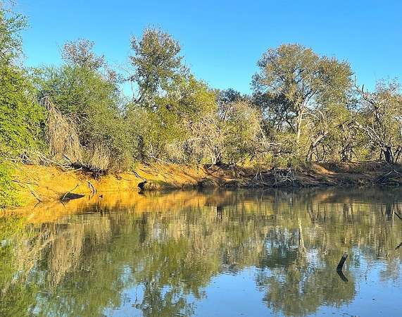 111 Acres of Land for Sale in Gonzales, Texas