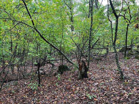 20 Acres of Recreational Land for Sale in Yellville, Arkansas