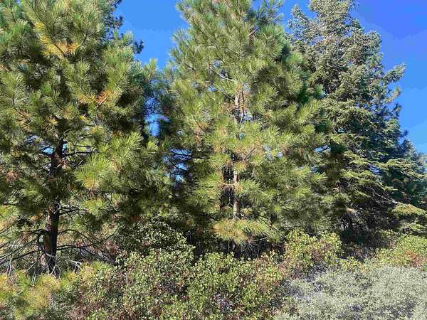 0.22 Acres of Land for Sale in Lake Almanor Peninsula, California