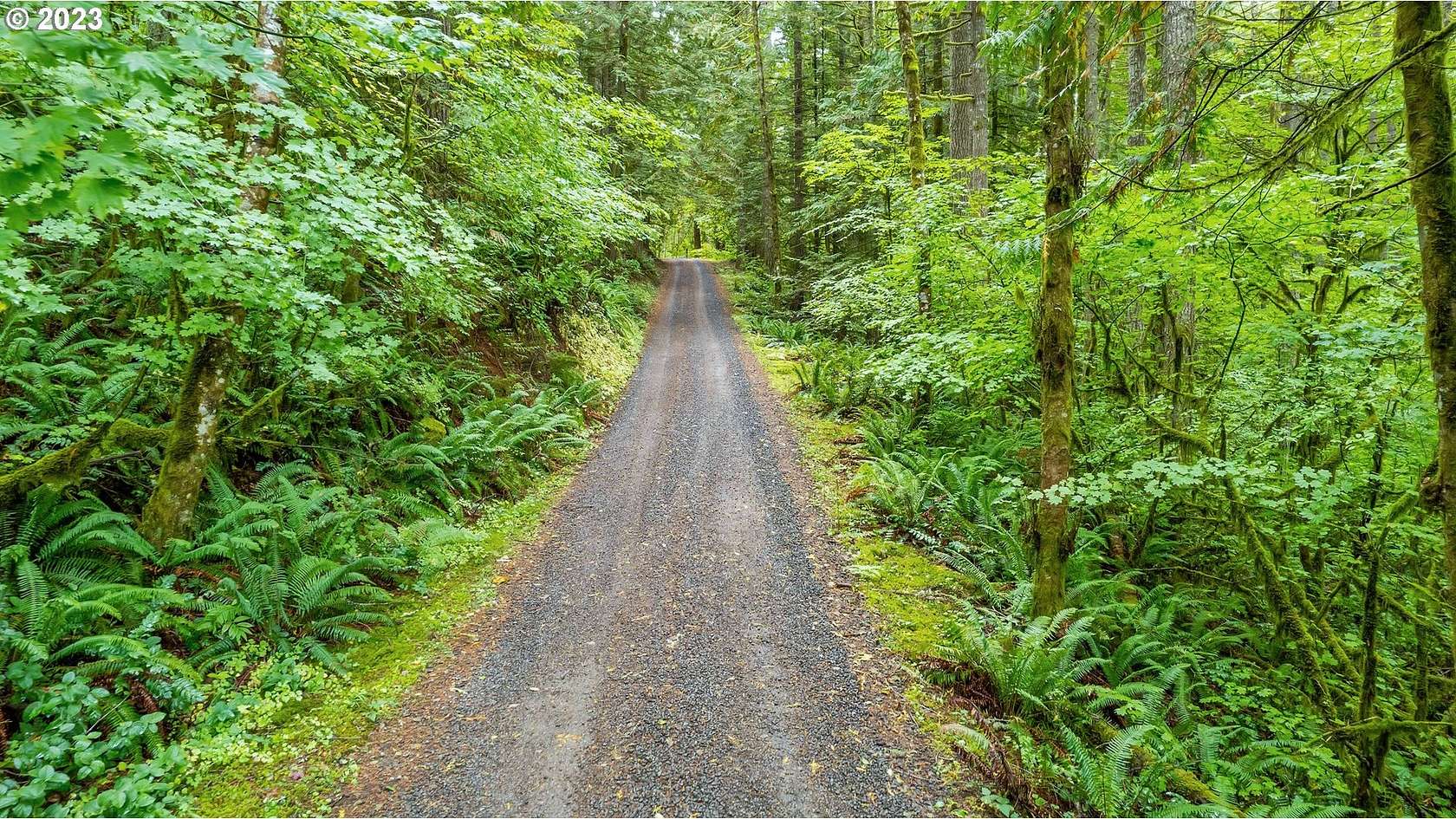 6.3 Acres of Residential Land for Sale in Banks, Oregon