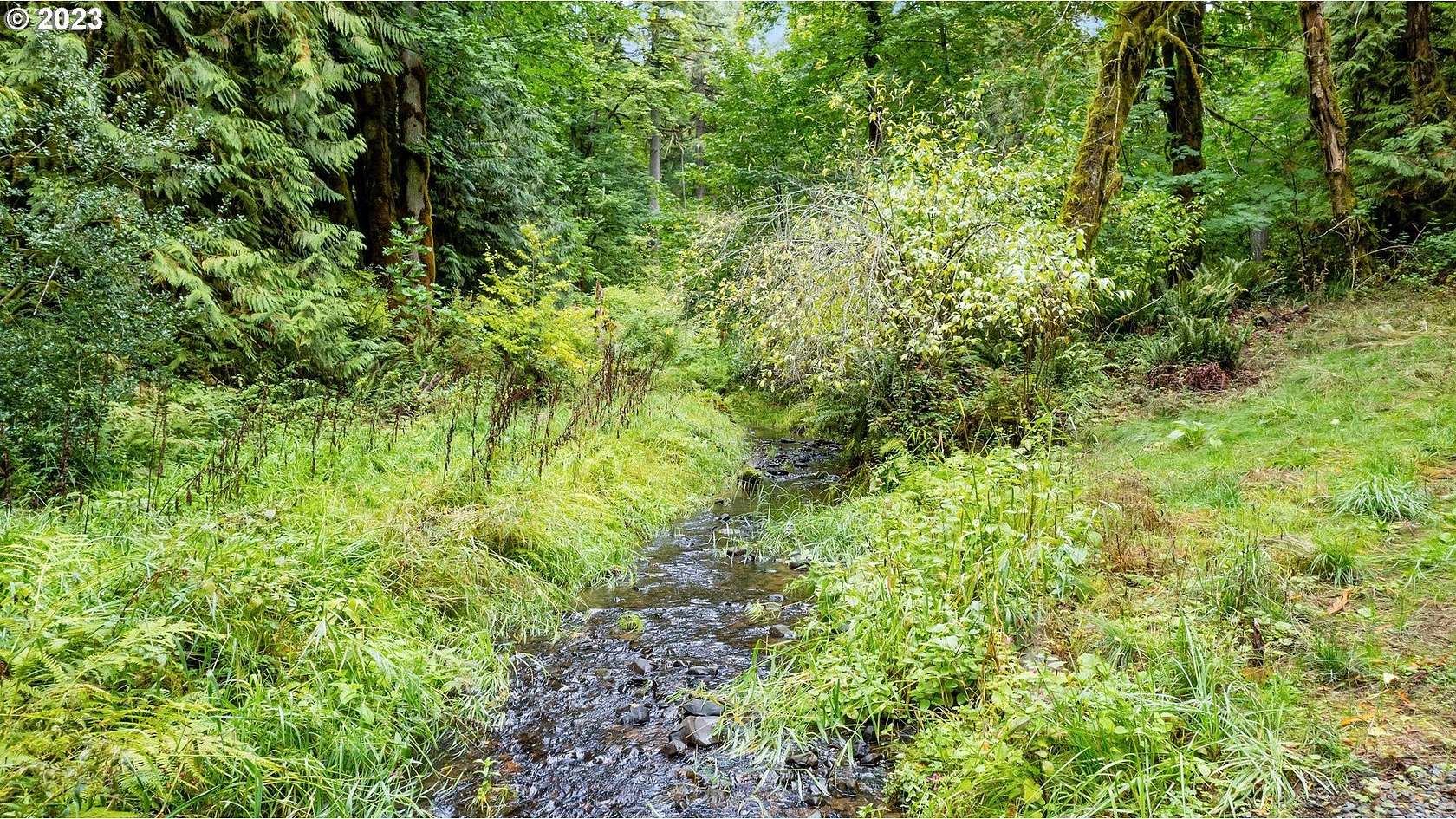 6.33 Acres of Residential Land for Sale in Banks, Oregon