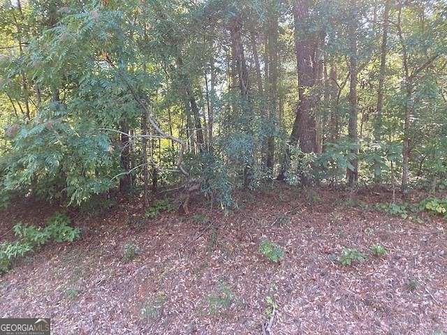 1.2 Acres of Residential Land for Sale in Dublin, Georgia