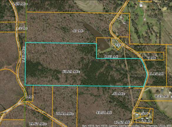 60 Acres of Land for Sale in Blue Springs, Mississippi