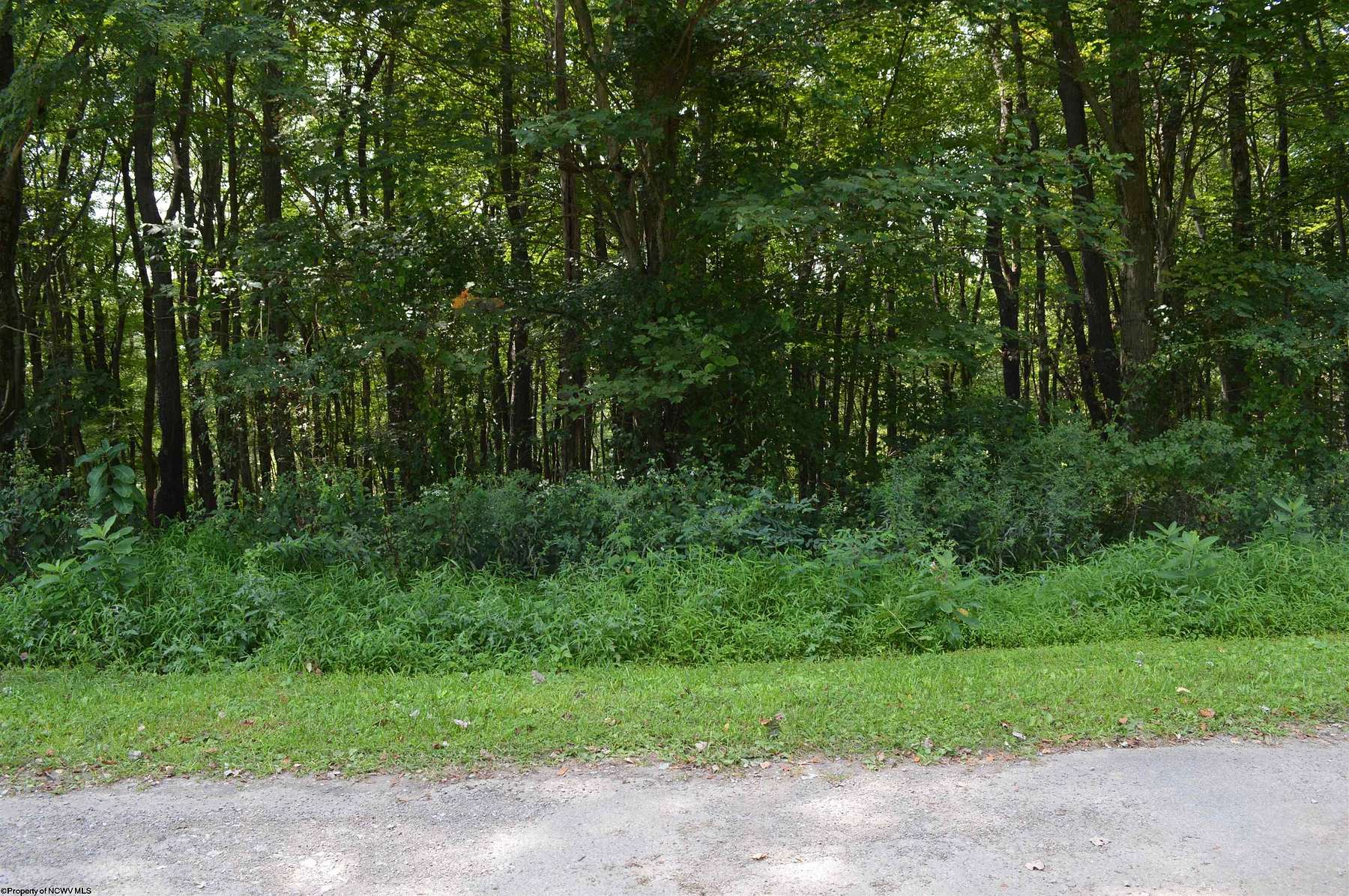 8 Acres of Residential Land for Sale in Hazelton, West Virginia