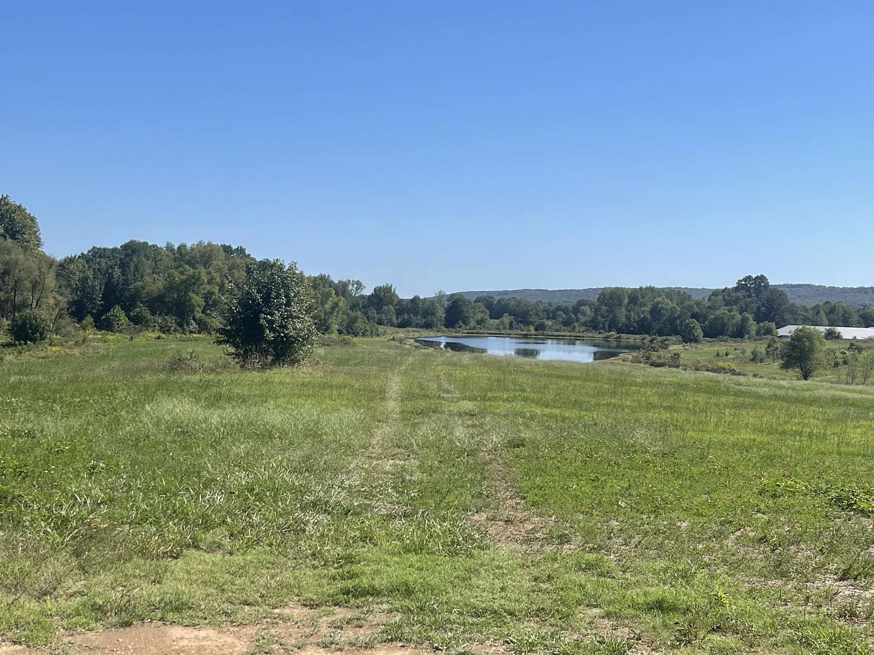 56 Acres of Recreational Land for Sale in Hartman, Arkansas