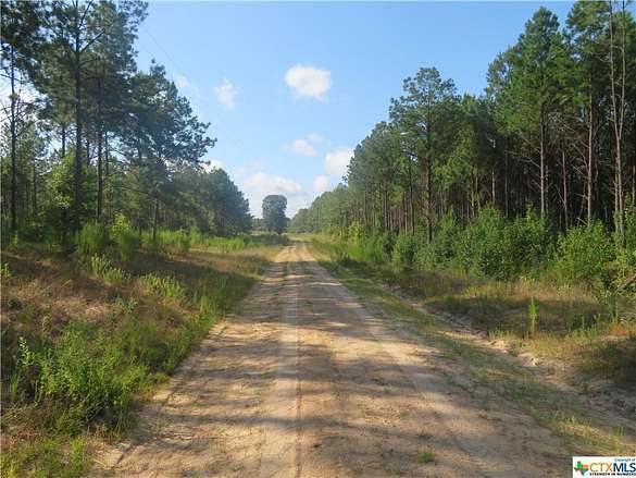 157 Acres of Recreational Land & Farm for Sale in Newton, Texas