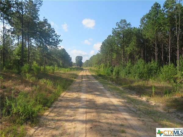 157 Acres of Recreational Land & Farm for Sale in Newton, Texas