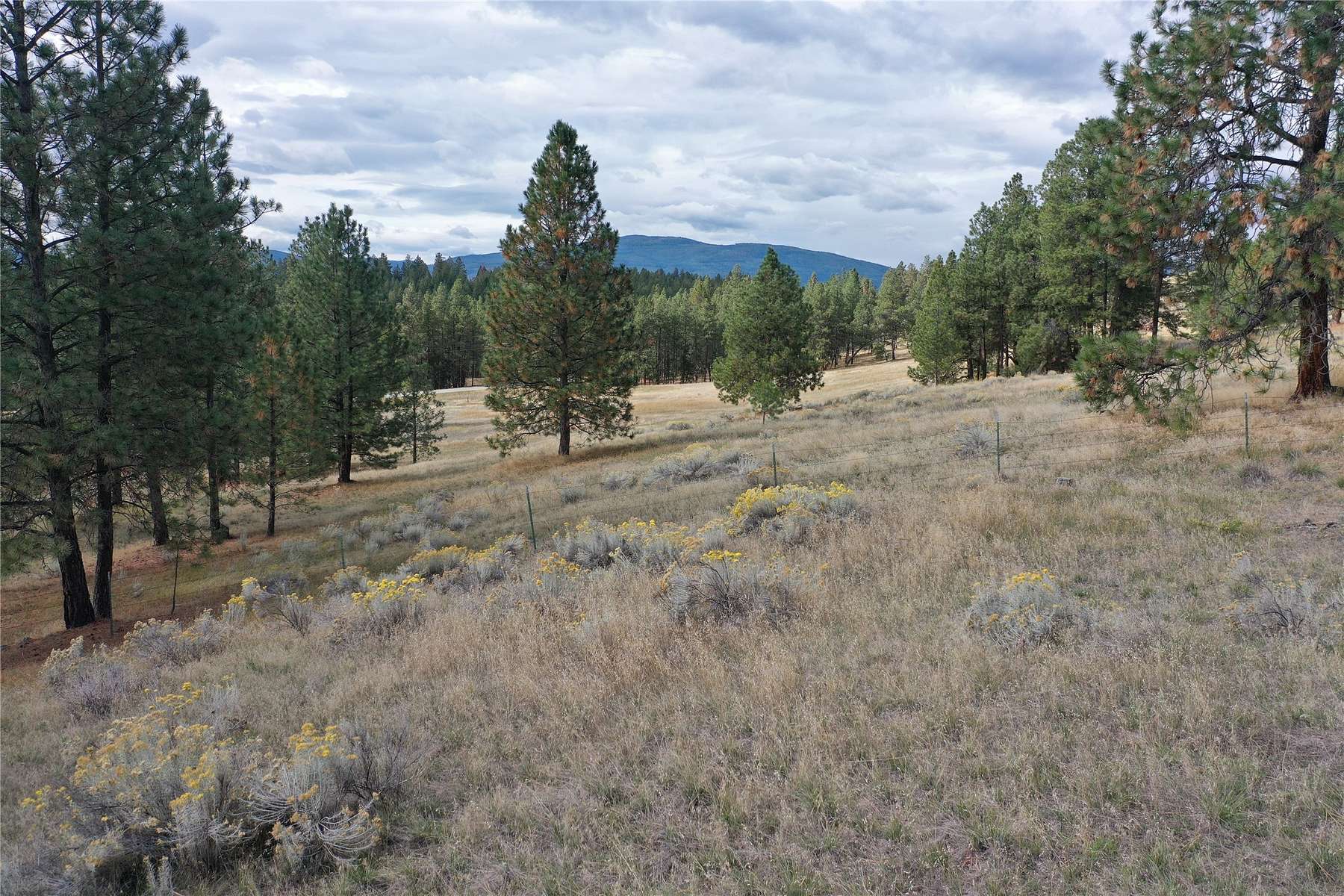 20 Acres of Land for Sale in Eureka, Montana