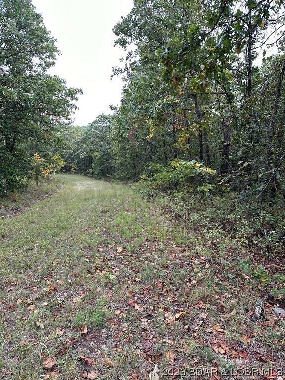 13 Acres of Land for Sale in Edwards, Missouri