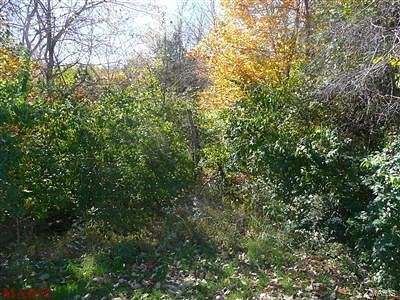 0.75 Acres of Residential Land for Sale in House Springs, Missouri