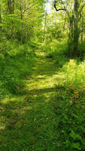 Path leading to the 12.83 ac. spring/summer