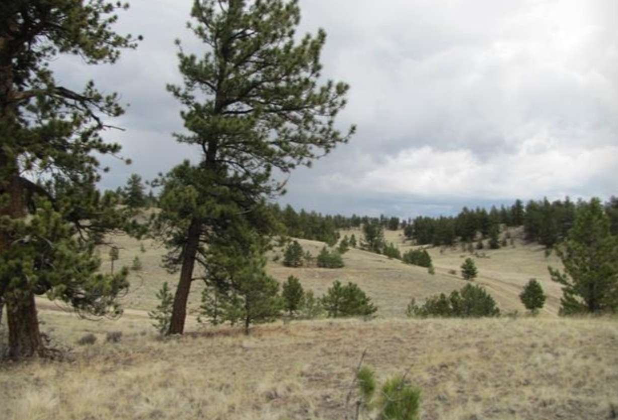 3 Acres of Land for Sale in Hartsel, Colorado