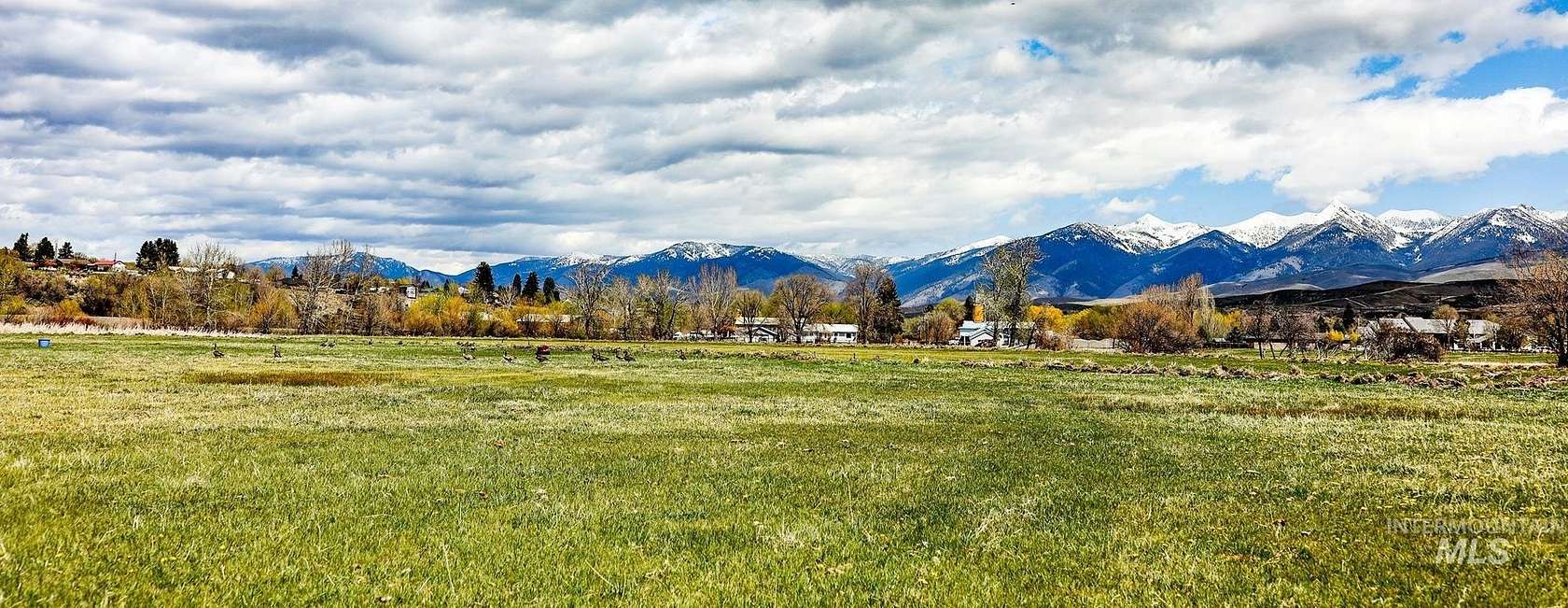 60 Acres of Agricultural & Residential Land for Sale in Salmon, Idaho