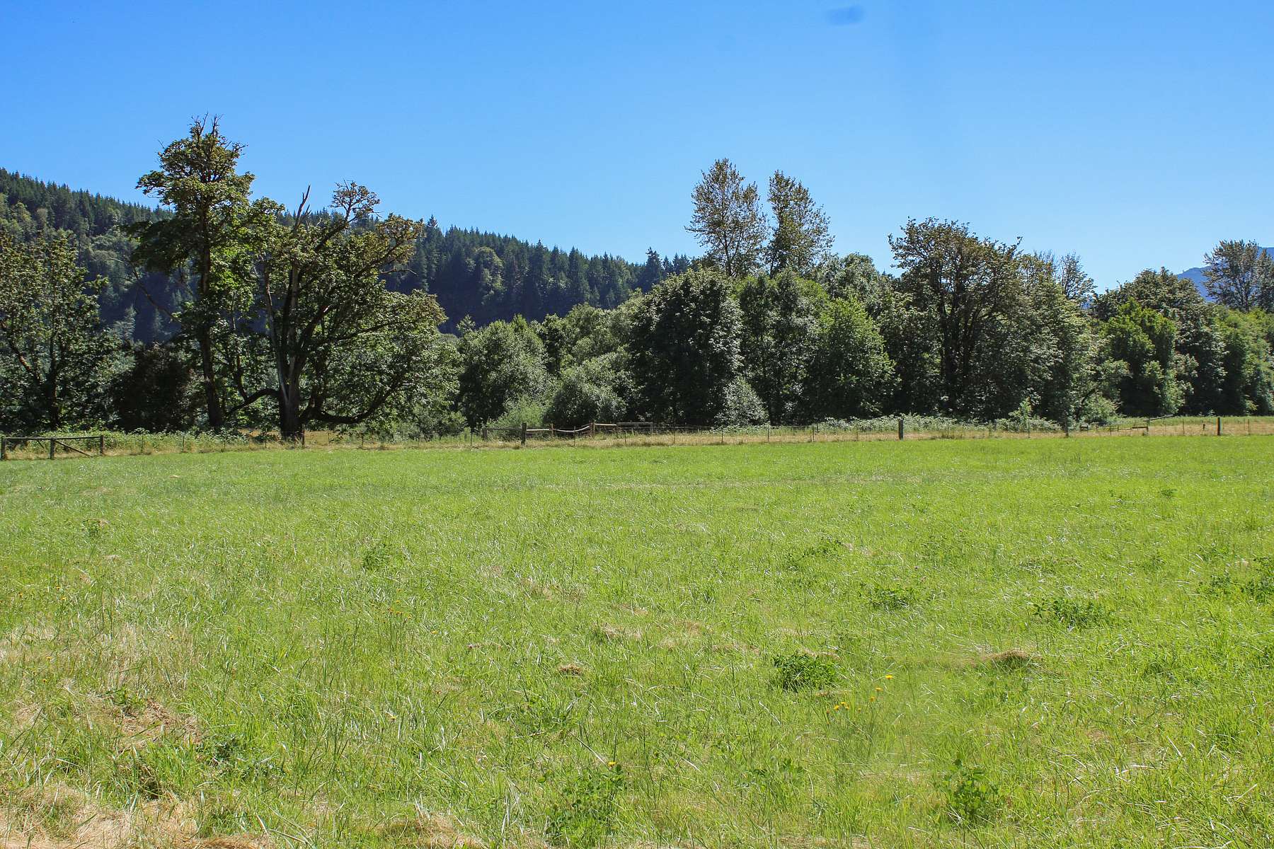 7 Acres of Land for Sale in Randle, Washington