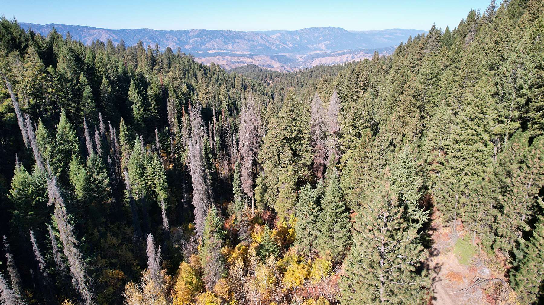 39.9 Acres of Recreational Land & Farm for Sale in Pioneerville, Idaho