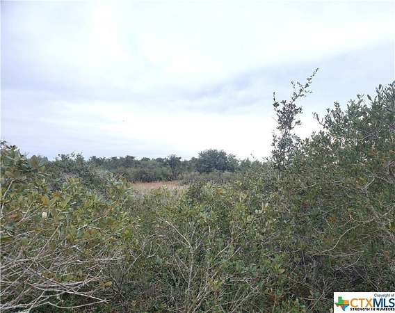 2 Acres of Land for Sale in Seadrift, Texas
