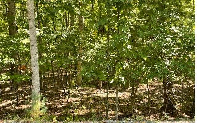 8 Acres of Land for Sale in Blairsville, Georgia
