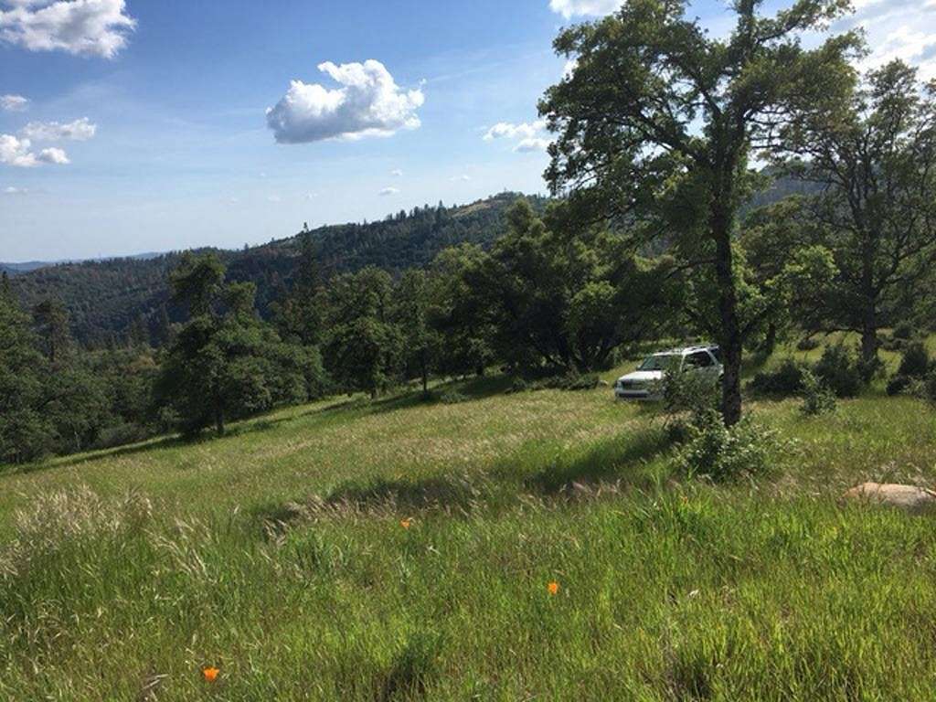 41.9 Acres of Land for Sale in Murphys, California