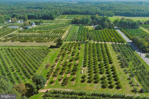 76.8 Acres of Agricultural Land with Home for Sale in Franklinville, New Jersey