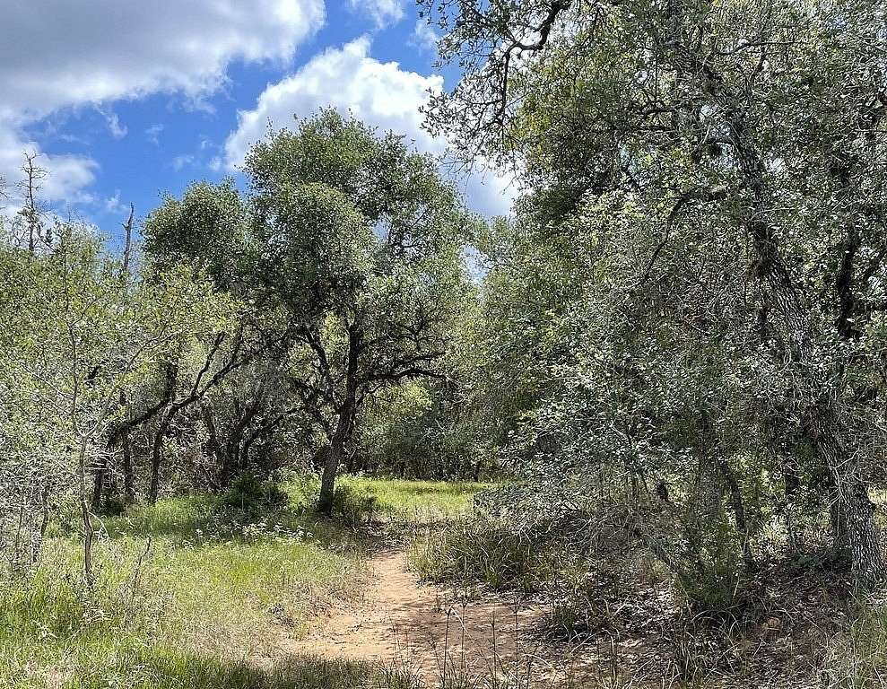 166 Acres of Land for Sale in Gonzales, Texas