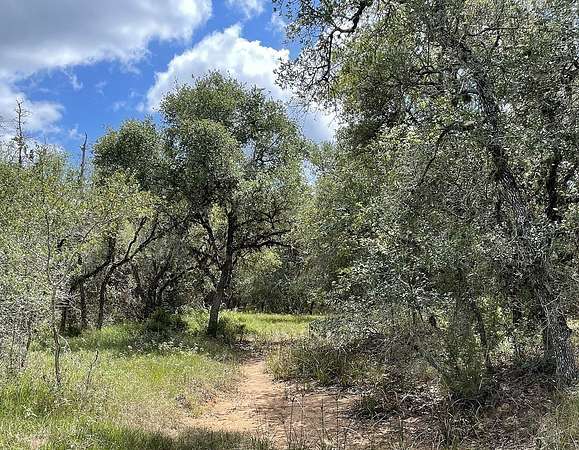 166 Acres of Land for Sale in Gonzales, Texas