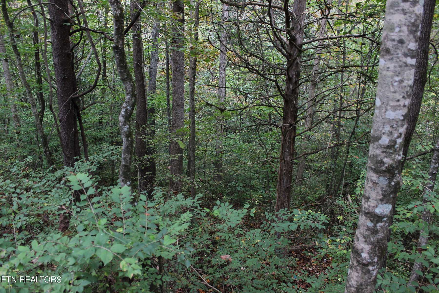 1.5 Acres of Land for Sale in Powell, Tennessee