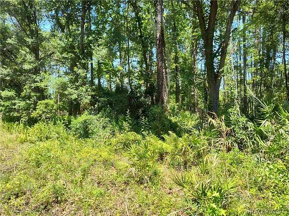 0.83 Acres of Residential Land for Sale in Citra, Florida