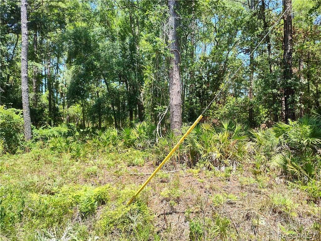 0.33 Acres of Residential Land for Sale in Citra, Florida