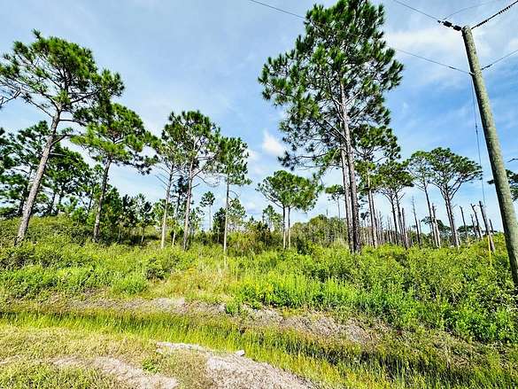 2.4 Acres of Residential Land for Sale in Eastpoint, Florida