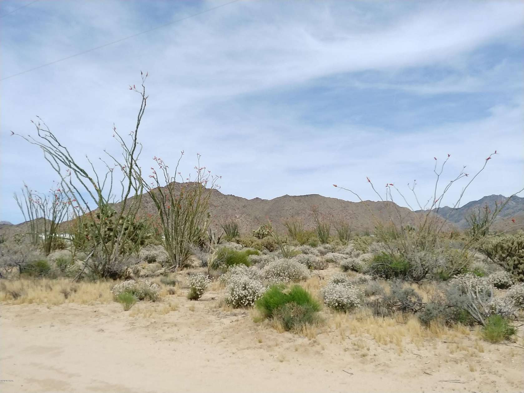 39.92 Acres of Land for Sale in Yucca, Arizona