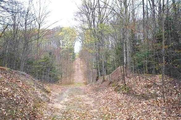 10 Acres of Residential Land for Sale in Boyne City, Michigan