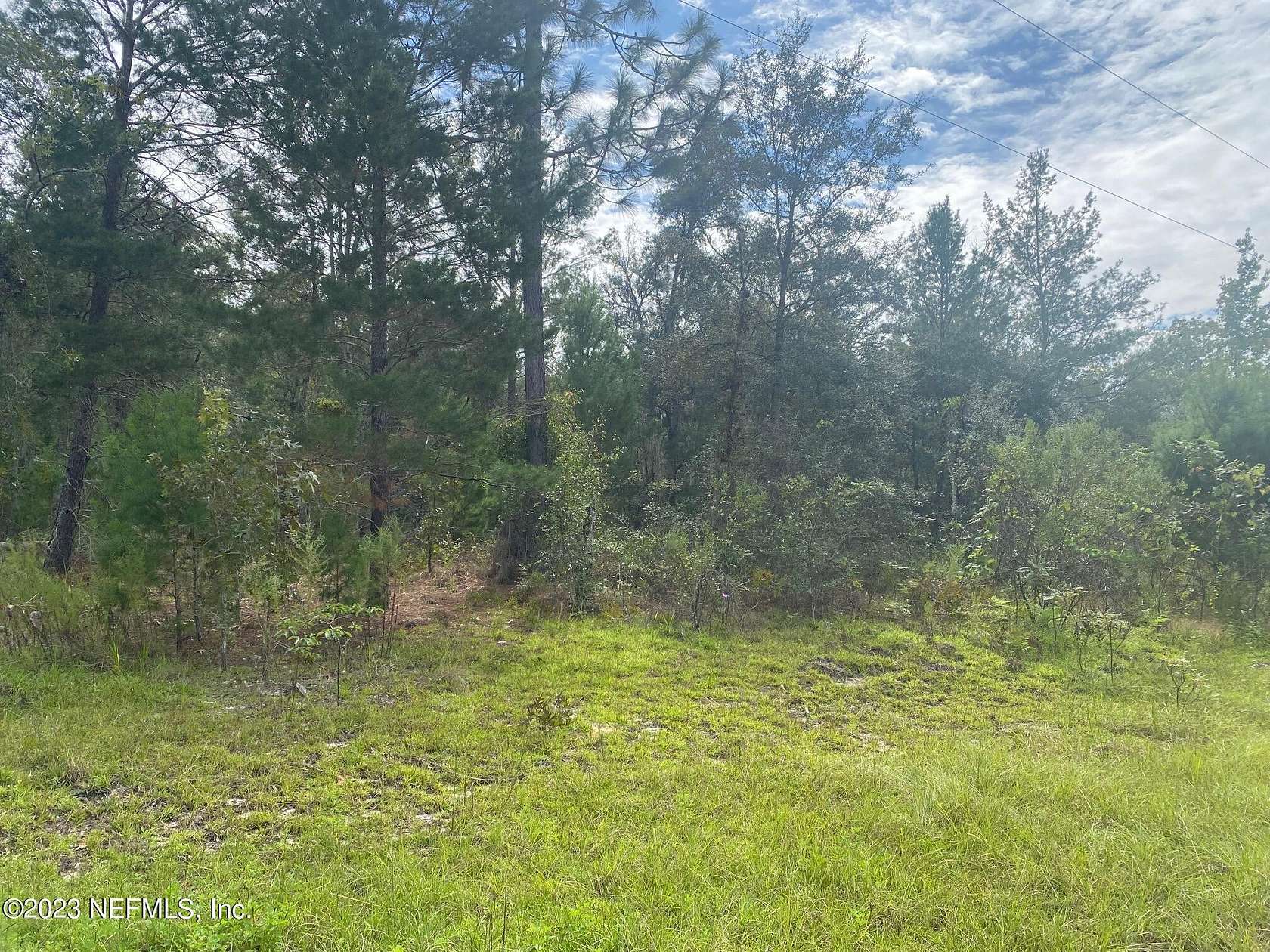 2.5 Acres of Residential Land for Sale in Hawthorne, Florida