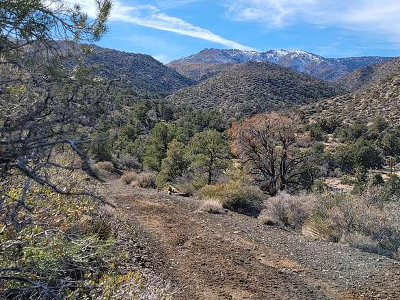 300 Acres of Recreational Land & Farm for Sale in Rimrock, California