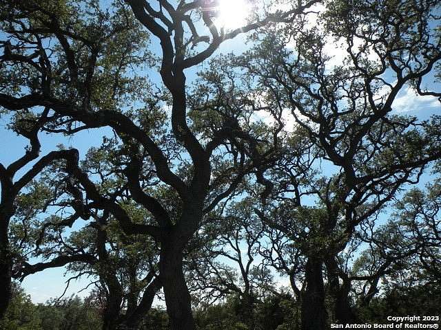 1 Acre of Residential Land for Sale in Bulverde, Texas